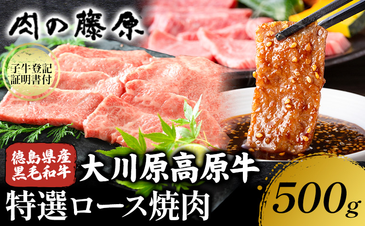 大川原高原牛 特選ロース 焼肉 500g 冷凍便 肉の藤原《60日以内に出荷予定(土日祝除く)》和牛 希少 大川原高原 牛肉 焼肉 ロース 贅沢 バーベキュー BBQ キャンプ ギフト 贈答 徳島県 佐那河内村---sanagouchi_nfw_15_500g---st-p