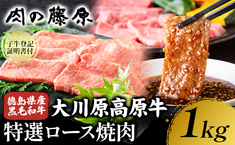 大川原高原牛　特選ロース焼肉　1kg 《60日以内に出荷予定(土日祝除く)》 --- sanagouchi_nfw_16_1kg ---st-p
