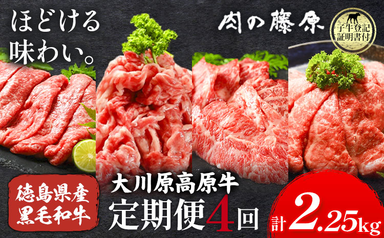 《定期便》全4回お届け！大川原高原牛赤身定期便(スライス・切り落とし・焼肉・しゃぶしゃぶ 各500gずつ) 株式会社肉の藤原 《お申込み月の翌月から出荷開始》牛肉 定期便 月1回 徳島県 佐那河内村---sanagouchi_nfw_17_tei---