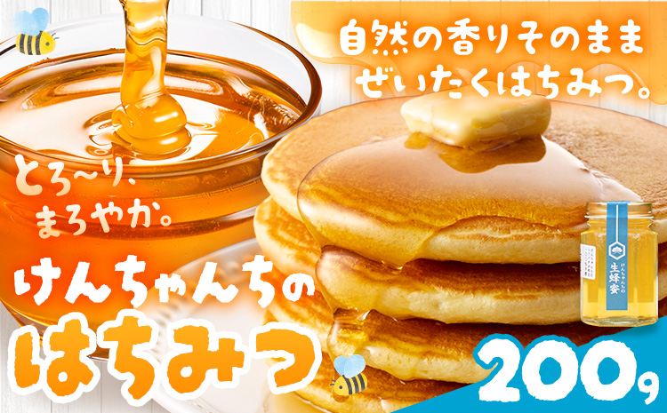 けんちゃんちのはちみつ 200g《30日以内に出荷予定（土日祝除く）》ふるさと納税 はちみつ ハチミツ 蜂蜜 国産蜂蜜 天然蜜蜂 徳島県 佐那河内村 送料無料---tsm_mkf1_30d_25_6500_200g---