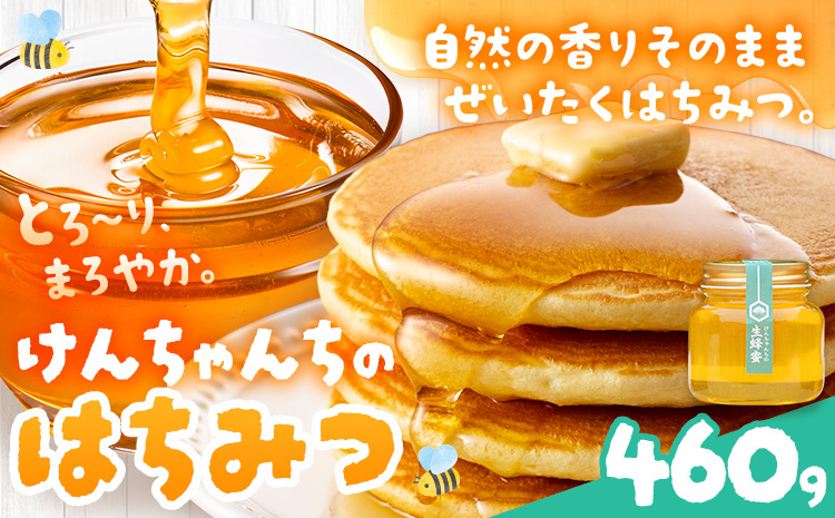 けんちゃんちのはちみつ 460g《30日以内に出荷予定（土日祝除く）》ふるさと納税 はちみつ ハチミツ 蜂蜜 国産蜂蜜 天然蜜蜂 徳島県 佐那河内村 送料無料---tsm_mkf3_30d_25_9500_460g---
