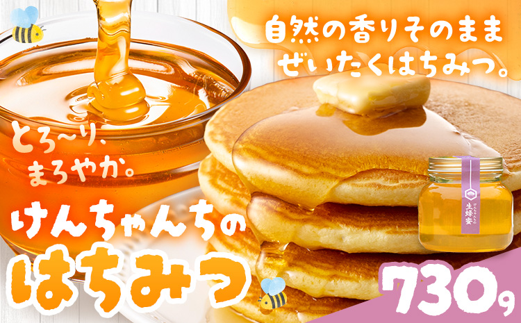 けんちゃんちのはちみつ 730g《30日以内に出荷予定（土日祝除く）》ふるさと納税 はちみつ ハチミツ 蜂蜜 国産蜂蜜 天然蜜蜂 徳島県 佐那河内村 送料無料---tsm_mkf4_30d_25_12500_730g---