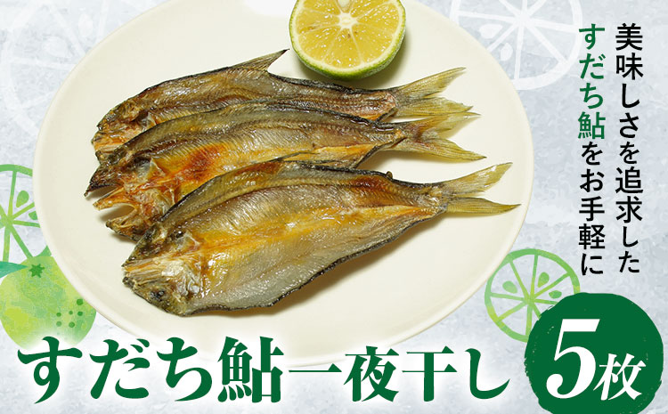 すだち鮎一夜干し 20~25cm×5枚 冷凍 有限会社岩崎商店 《30日以内に出荷予定(土日祝除く)》│ 徳島県産 あゆ アユ 魚 魚介 川魚 塩焼き 甘露煮 徳島県 佐那河内村---sanagouchi_ist_1_5mi---