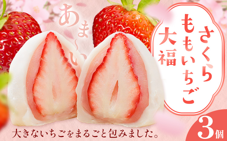 大福 和菓子 さくらももいちご大福 苺大福 いちご大福 3個 福屋 盛壽の郷《12月下旬-2月末頃出荷》徳島県 佐那河内村 送料無料 菓子 苺 デザート お取り寄せスイーツ さくらももいちご【配送不可地域あり】(北海道・東北・沖縄・離島)---sanagouchi_fky_2_3k---