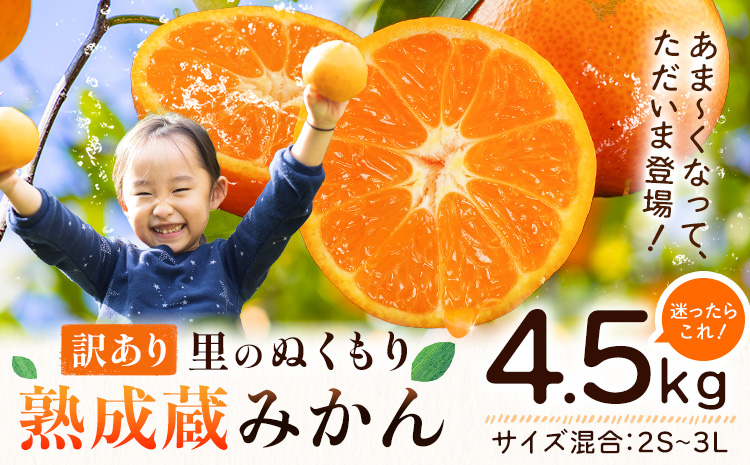 訳あり 熟成みかん 4.5kg 《1月上旬-3月上旬頃出荷》徳島 柑橘 ミカン 蜜柑 フルーツ 青果物 徳島県 佐那河内村---sanagouchi_lcl_41_4500g---