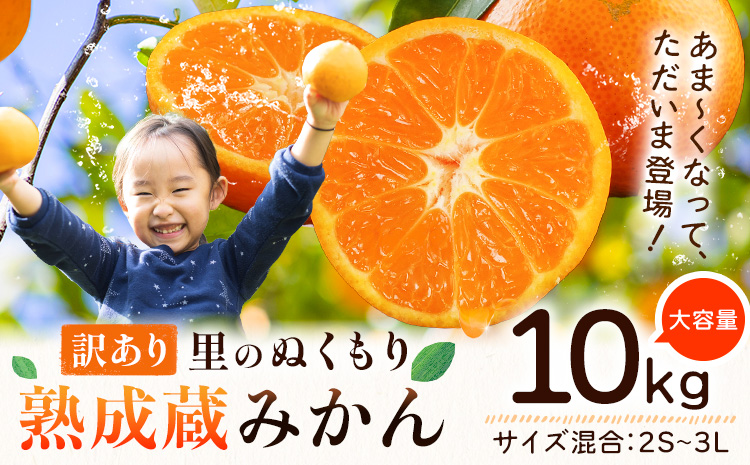 訳あり 熟成みかん 10kg 《1月上旬-3月上旬頃出荷》徳島 柑橘 ミカン 蜜柑 フルーツ 青果物 大容量 徳島県 佐那河内村---sanagouchi_lcl_42_10kg---