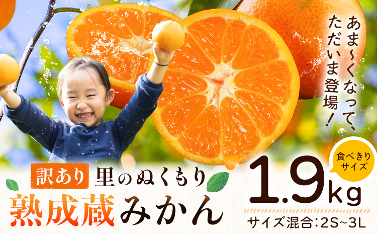 訳あり 熟成みかん 1.9kg 《1月上旬-3月上旬頃出荷》徳島 柑橘 ミカン 蜜柑 フルーツ 青果物 お試し 徳島県 佐那河内村---sanagouchi_lcl_40_1900g---