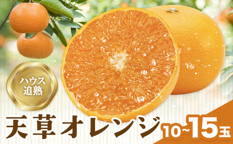 ハウス追熟 天草オレンジ 10玉〜15玉入 廣畠農園《1月中旬頃出荷予定》徳島県 佐那河内村 みかん ミカン 蜜柑 柑橘 フルーツ 果物 くだもの【配送不可地域あり】※離島---sanagouchi_hhn_6_1hk---