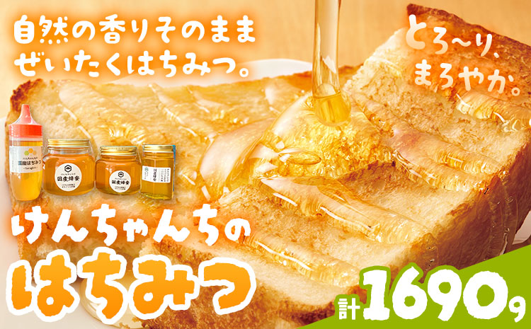 けんちゃんちのはちみつ 200g 300g 460g 730g 全部セット《30日以内に出荷予定（土日祝除く）》ふるさと納税 はちみつ ハチミツ 蜂蜜 国産蜂蜜 天然蜜蜂 徳島県 佐那河内村 送料無料---tsm_mkf8_30d_25_28500_1690g---