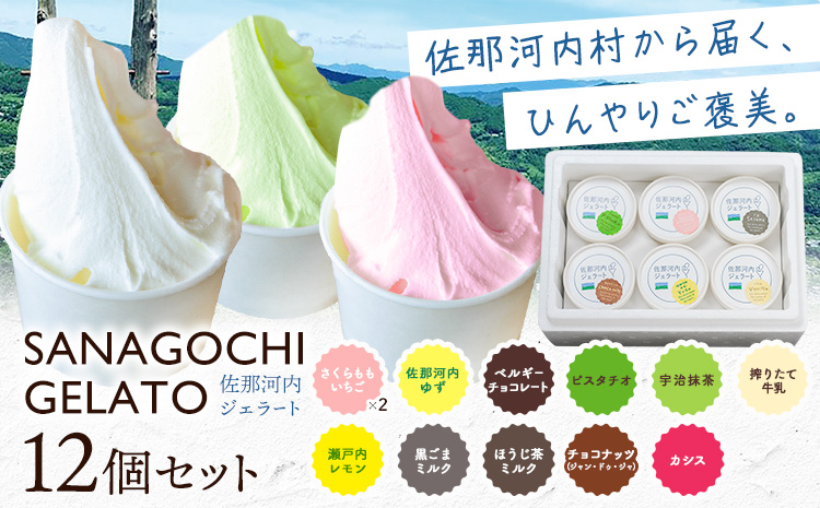 ジェラート アイス スイーツ SANAGOCHI GELATO 12個 株式会社クリスティーヌ 《30日以内に出荷(土日祝除く)》 徳島県 佐那河内村 お菓子 ご褒美 プレゼント いちご チョコ ピスタチオ ミルク 【配送不可地域あり】(離島)---sanagouchi_kst_2_12k---