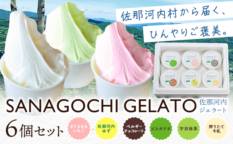 ジェラート アイス スイーツ SANAGOCHI GELATO 6個 株式会社クリスティーヌ 《30日以内に出荷(土日祝除く)》 徳島県 佐那河内村 お菓子 ご褒美 プレゼント いちご チョコ ピスタチオ ミルク 【配送不可地域あり】(離島)---sanagouchi_kst_1_6k---