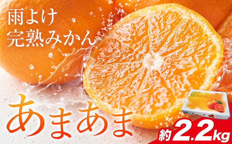 雨よけ完熟みかん「あまあま」選べる内容量 約2.2kg 正木久之《12月下旬-1月中旬》徳島県 佐那河内村 みかん ミカン 蜜柑 柑橘 箱入り 化粧箱 フルーツ 果物 くだもの 贈答【配送不可地域あり】※離島不可---sanagouchi_mhy_1_1hk---