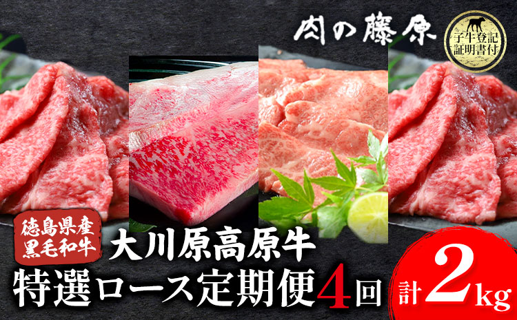《定期便》全4回お届け！大川原高原牛 特選ロース(しゃぶしゃぶ・ステーキ・焼肉・スライス 各500gずつ) 株式会社肉の藤原 《お申込み月翌月から出荷開始》牛肉 定期便 月1回 徳島県 佐那河内村---sanagouchi_nfw_18_tei---