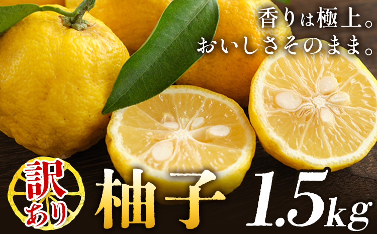 ゆず 訳あり 柚子 約1.5kg [11月中旬-1月中旬頃発送]徳島県 佐那河内村 ゆず 柑橘 フルーツ 旬[配送不可地域あり]※離島---sanagouchi_lcl_19_1500g---