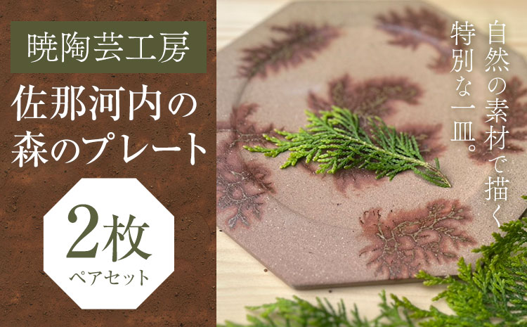 佐那河内の森のプレート 2枚 暁陶芸工房[30日以内に出荷予定(土日祝除く)] 自然 キッチン用品 日用品 オリジナル 雑貨 徳島県 佐那河内村皿 食器 プレート 手作り ---sanagouchi_akb_7_2k---