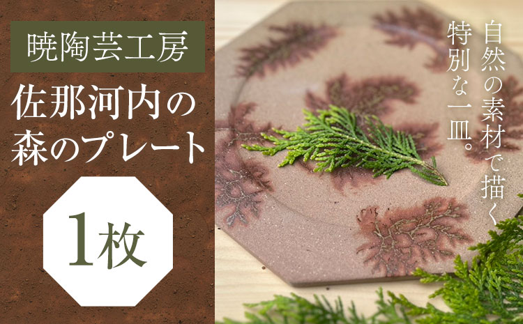 佐那河内の森のプレート 1枚 暁陶芸工房[30日以内に出荷予定(土日祝除く)] 自然 キッチン用品 日用品 オリジナル 雑貨 徳島県 佐那河内村 皿 食器 プレート 手作り ---sanagouchi_akb_6_1k---