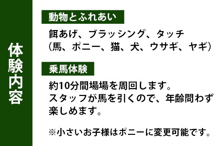 自然の中で動物とふれあい＆乗馬体験（1名）CC-1 徳島 那賀 体験 乗馬 乗馬体験 動物とふれあい アウトドア レジャー 1名様 1枚【体験チケット】
