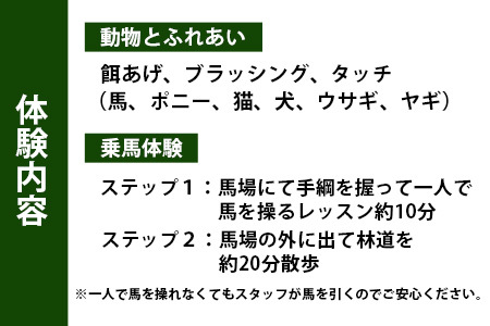 動物ふれあい＆乗馬体験 『わくわくコース』約30分 2名　CC-3 徳島 那賀 体験 乗馬 乗馬体験 チケット トラベル ふれあい 動物とふれあい 自然 アウトドア レジャー 景品 2名様 2枚 思い出 【体験チケット】