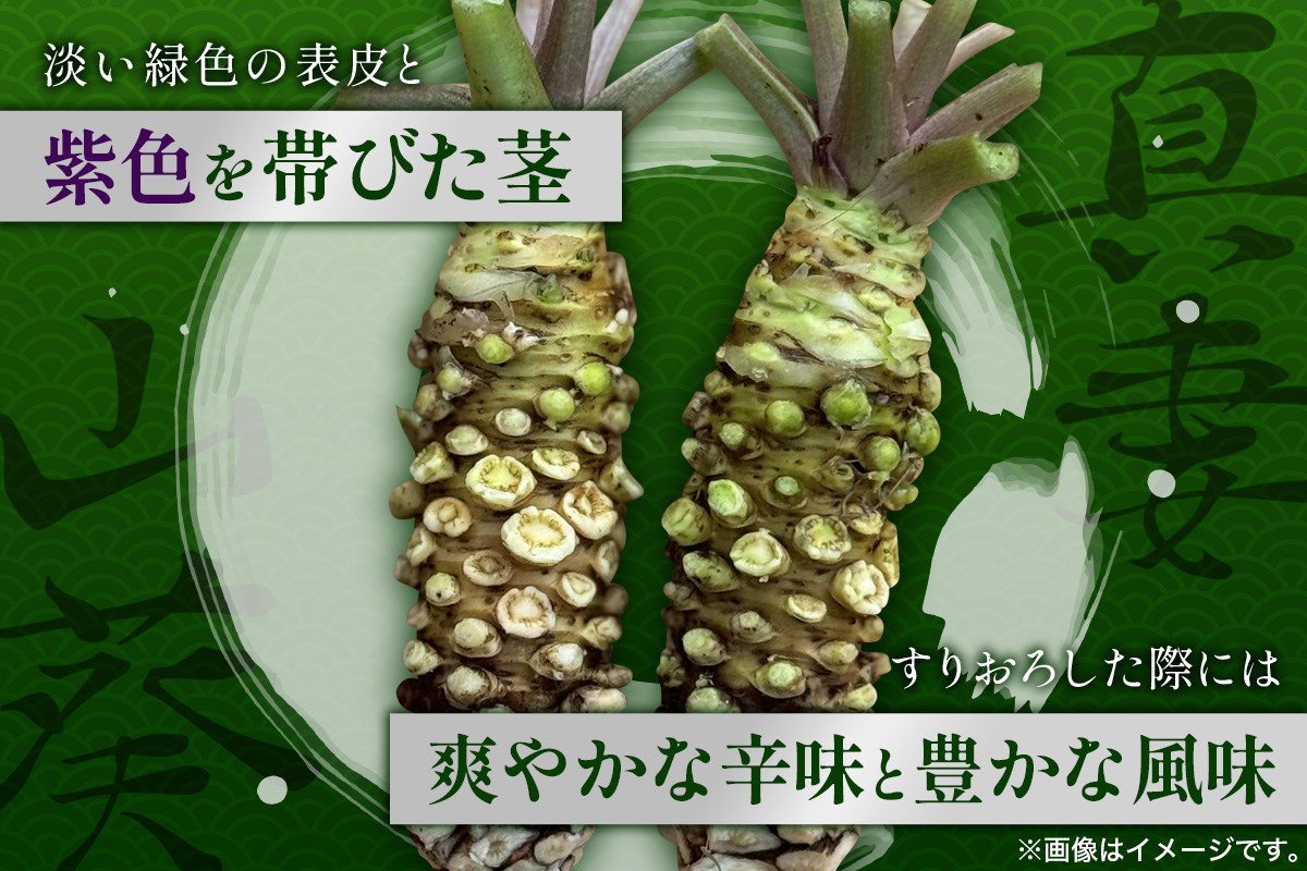 那賀わさび (真妻) 約200g 2～4本【徳島県 那賀町 生産者直送 産地直送 本わさび わさび ワサビ 生わさび 山葵 野菜 香味野菜 国産 真妻 薬味 調味料 万能 新鮮】FN-07 那賀わさび (真妻) 約200g 2～4本