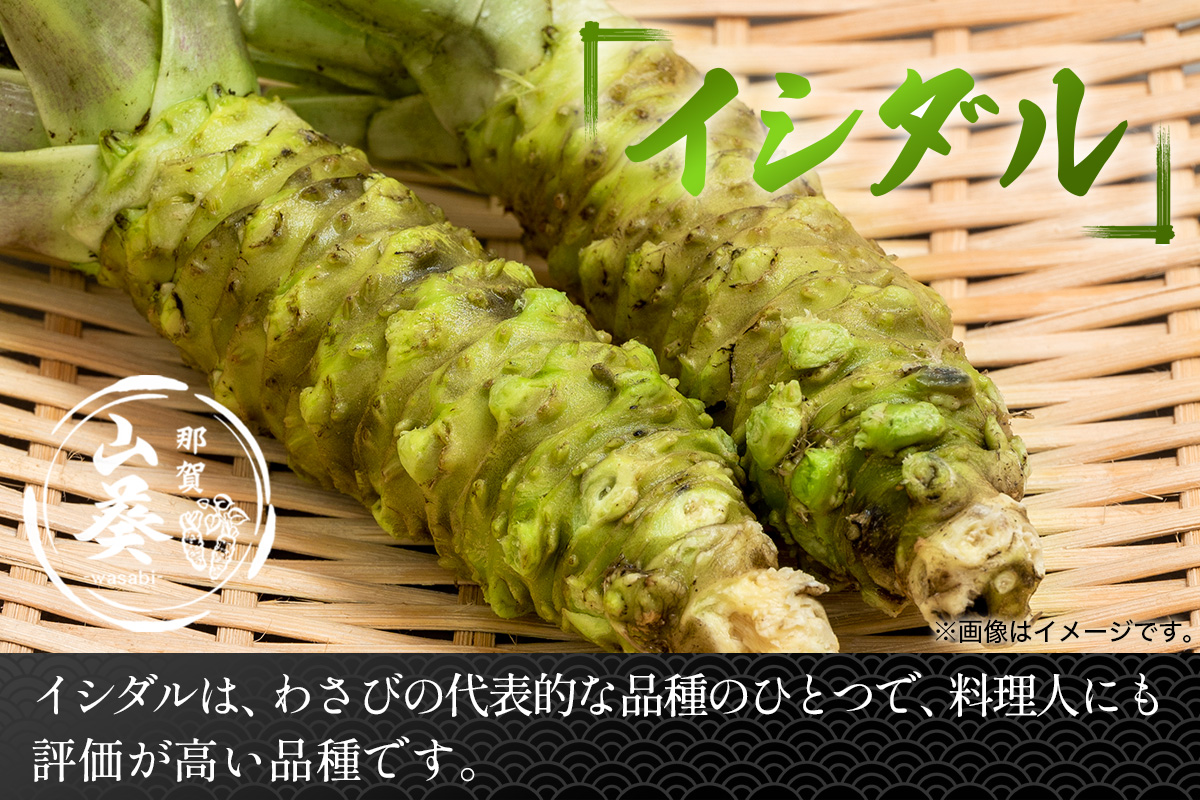 那賀わさび (イシダル) 約200g 2～4本【徳島県 那賀町 生産者直送 産地直送 本わさび わさび ワサビ 生わさび 山葵 野菜 香味野菜 国産 イシダル 薬味 調味料 万能 新鮮】FN-12 那賀わさび (イシダル) 約200g 2～4本