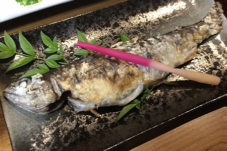 花瀬庵 お一人様 お食事券「ディナー」[徳島県 那賀町 那賀 お食事券 食事券 券 チケット ディナー 夜食 晩御飯 晩ご飯 夜ごはん 夜ご飯 ご飯 食事 野菜 海産物 旬 おかず 美味しい うまい 現地 体験 料理 お料理 旬野菜 花瀬庵 満足 新鮮 食材 ギフト 母の日 父の日]【HA-2】