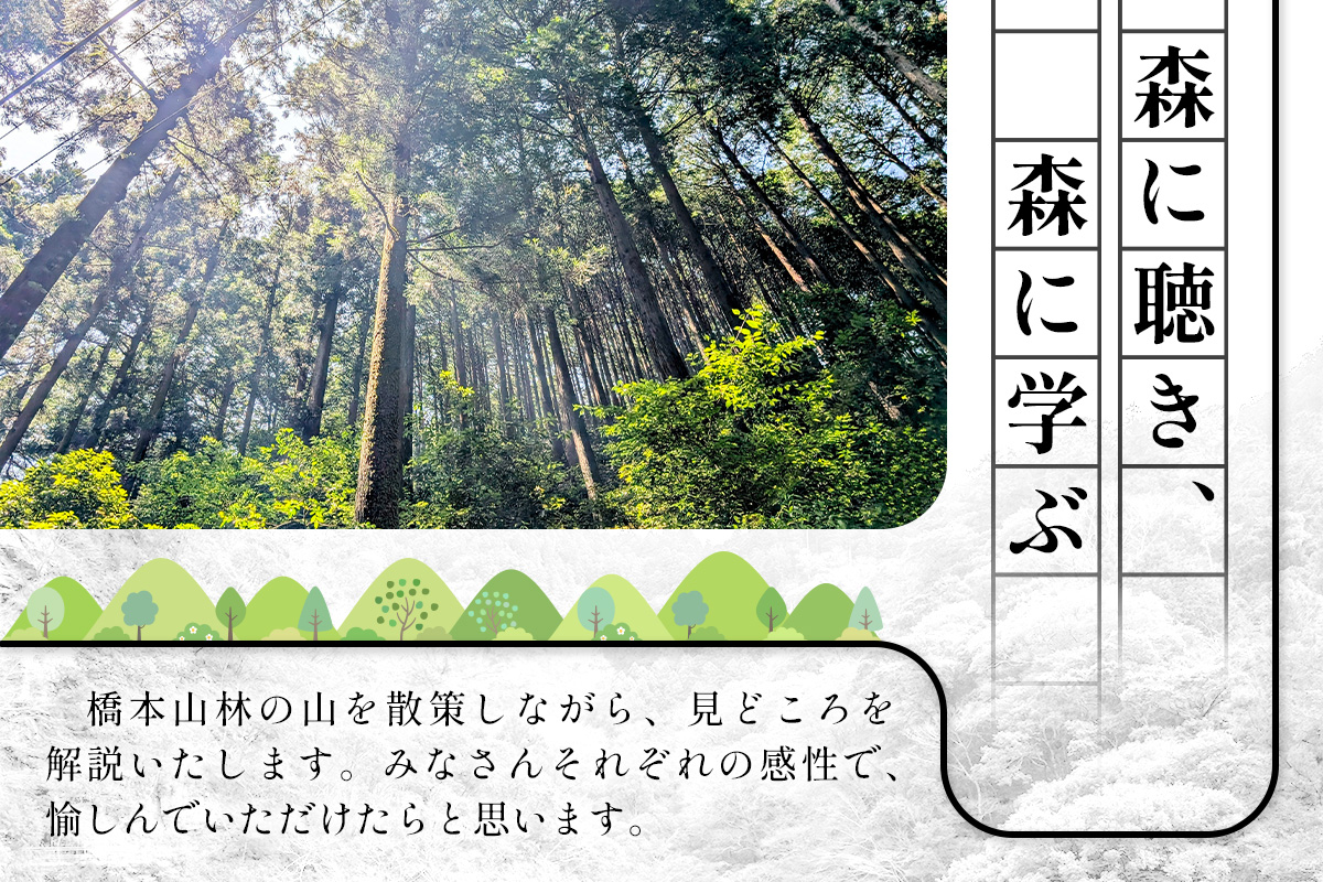 【橋本山林】一日一組限定ツアー（1～9月）1名様 【徳島県 那賀町 ツアー イベント 現地体験型 体験 旅行 グループ 限定 仲間 社員研修 環境学習】NM-11