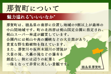 【返礼品なしの寄附】徳島県那賀町 1口：10,000円 ［徳島県 徳島 那賀町 那賀 寄附 おうえん 応援 しえん 支援 応援したい おうえん寄付金 応援寄付金 寄付のみ 返礼品なし 返礼品なしの寄附 1,000円］【NY-4】 10,000円（返礼品無し）