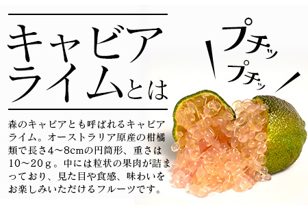 冷凍 徳島産 キャビアライム ピンク 100g(8～15個) フィンガーライム ライム トッピング 料理 お酒 デザート 貴重 OM-8