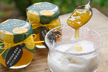 木頭ゆずたっぷり４点セット 木頭 ゆず 柚子 ユズ 木頭柚子 木頭ゆず ジャム はちみつ 果汁 ゆず果汁 柚子味噌 つくだ煮 佃煮 ジュース 飲料 セット ギフト YA-45 通常用