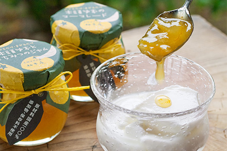 木頭ゆずたっぷり６点セット 木頭 ゆず 柚子 ユズ 木頭柚子 木頭ゆず ジャム はちみつ 果汁 ゆず果汁 つくだ煮 佃煮 ジュース 飲料 セット ギフト YA-47 通常用