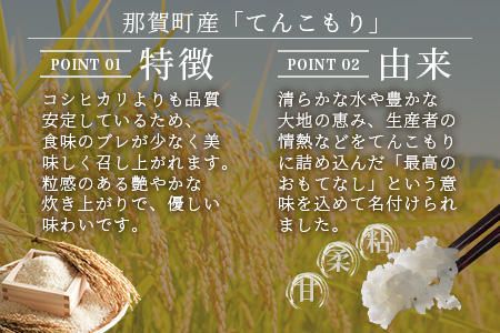 「令和6年産 新米 先行受付」那賀町相生産 てんこもり 白米 5kg 1袋「2024年10月上旬より発送」【徳島 那賀 国産 徳島県産 特A ブランド米 お米 こめ おこめ 米 ご飯 ごはん 白ご飯 白米 5キロ 和食 おにぎり お弁当 白米 精米 おいしい 食べて応援 お取り寄せ 産地直送】YS-38