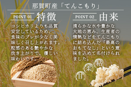 「令和6年産 新米 先行受付」徳島県那賀町相生産 てんこもり 玄米 5kg 1袋「2024年10月上旬より発送」【徳島 那賀 国産 徳島県産 特A ブランド米 お米 こめ おこめ 米 ご飯 ごはん 玄米 5キロ 和食 おにぎり お弁当 玄米 おいしい 食べて応援 お取り寄せ 産地直送】YS-40
