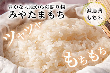 那賀町相生産 みやたまもち 白米 5kg 1袋【徳島 那賀 国産 徳島県産 ミヤタマモチ お米 こめ おこめ 餅米 もち米 お餅 モチ米 米 白米 5キロ 餅 お正月 おはぎ 赤飯 おこわ ちまき 多用途 おいしい 食べて応援 お取り寄せ 産地直送】YS-42