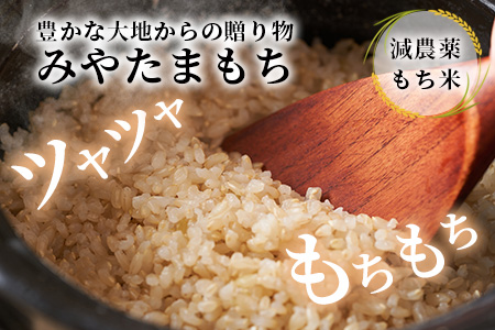 那賀町相生産 みやたまもち 玄米 5kg 1袋【徳島 那賀 国産 徳島県産 ミヤタマモチ お米 こめ おこめ 餅米 もち米 お餅 モチ米 米 玄米 5キロ 餅 お正月 おはぎ 赤飯 おこわ ちまき 多用途 おいしい 食べて応援 お取り寄せ 産地直送】YS-43