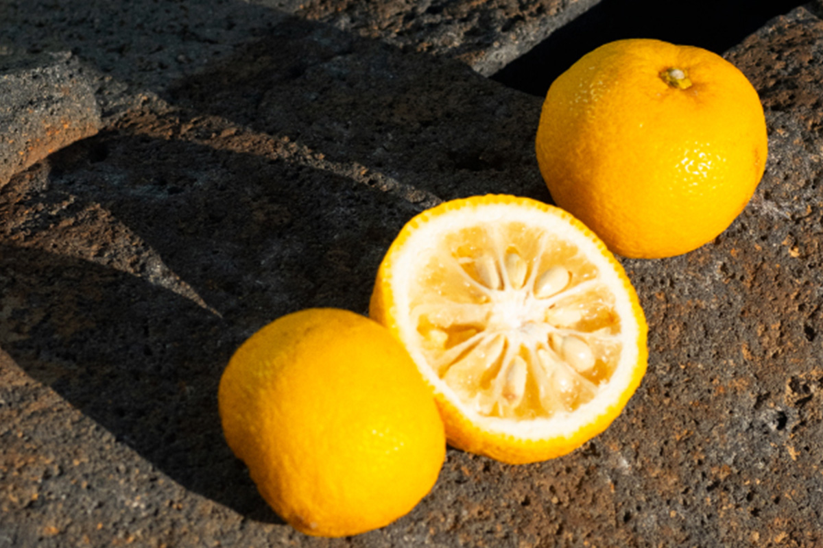 【SHIRO】ゆずオイルインウォーター 120ml [01804]