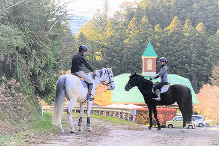 動物ふれあい＆乗馬体験 『わくわくコース』約30分 1名　CC-2 徳島 那賀 体験 乗馬 乗馬体験 チケット トラベル ふれあい 動物とふれあい 自然 アウトドア レジャー 景品 1名様 1枚 思い出 【体験チケット】