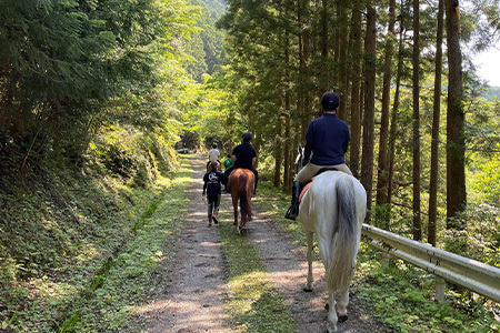 動物ふれあい＆乗馬体験 『わくわくコース』約30分 2名　CC-3 徳島 那賀 体験 乗馬 乗馬体験 チケット トラベル ふれあい 動物とふれあい 自然 アウトドア レジャー 景品 2名様 2枚 思い出 【体験チケット】