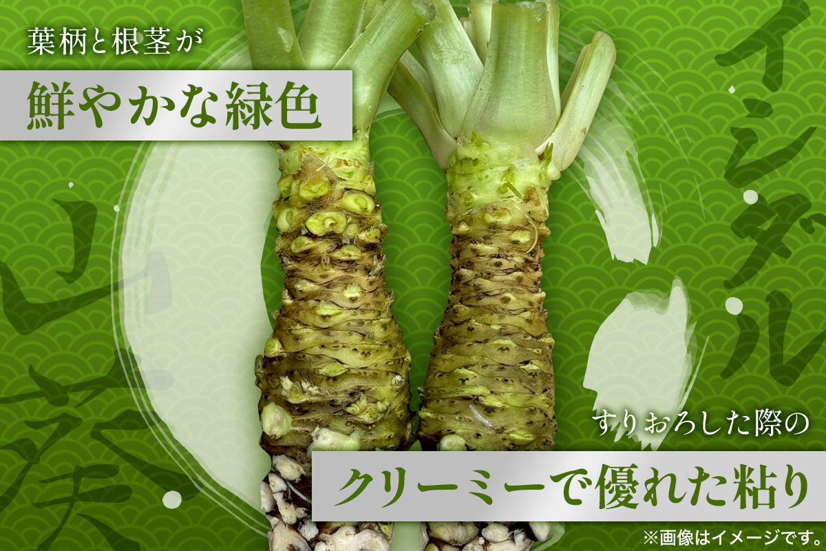 那賀わさび (イシダル) 約300g 3～6本【徳島県 那賀町 生産者直送 産地直送 本わさび わさび ワサビ 生わさび 山葵 野菜 香味野菜 国産 イシダル 薬味 調味料 万能 新鮮】FN-13 那賀わさび (イシダル) 約300g 3～6本