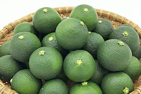 【先行受付】澄んだ空気と清らかな水で育った 露地すだち 約2kg (2Lサイズ/1kg×2箱)「2025年8月下旬より順次発送」【徳島県 那賀町 国産 特選 すだち スダチ 酢橘 柑橘 果物 青果 特産品 果汁 薬味 酸味 お酒 料理 万能 調味料 産地直送】KF-2