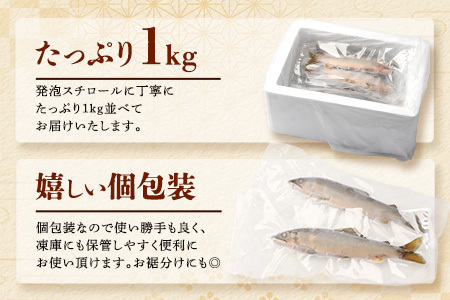 那賀町産 冷凍天然鮎 (小サイズ) 1kg入 KG-2【徳島県 那賀町 徳島 那賀 国産 天然鮎 天然 鮎 アユ あゆ 魚 さかな 冷凍 キャンプ BBQ バーベキュー 塩焼き 川魚 個包装】