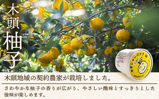 シャーベット 3種 計14個セット (ゆず・みかん・やまもも)【徳島 那賀町 木頭ゆず 木頭ユズ 木頭柚子 みかん ミカン やまもも ヤマモモ スイーツ デザート シャーベット 氷菓 アイス 氷菓子 果汁 無添加 国産 寒天 詰め合わせ 食べ比べ ギフト 贈り物 お取り寄せ グルメ お土産 冷凍】KM-3