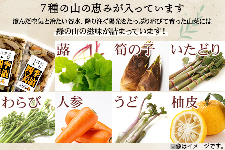 木沢特産 ふるさとの味 四季美漬 (しょう油漬) 250g×4袋【徳島県 那賀町 国産 山菜漬け 醤油漬 漬物 漬け物 加工品 山菜 味付き ごはんのおとも ご飯のお供 惣菜 おかず 副菜 小鉢 調味済み おつまみ お酒の肴 時短 お土産 お取り寄せ】MO-5