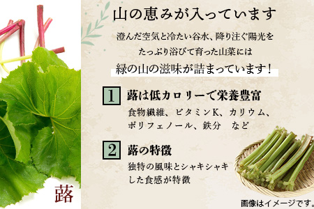 木沢特産 ふるさとの味 キャラブキ (佃煮) 150g×4袋【徳島県 那賀町 国産 佃煮 つくだ煮 漬物 漬け物 加工品 山菜 蕗 味付き ごはんのおとも ご飯のお供 惣菜 おかず 副菜 小鉢 調味済み おつまみ お酒の肴 時短 お土産 お取り寄せ】MO-6