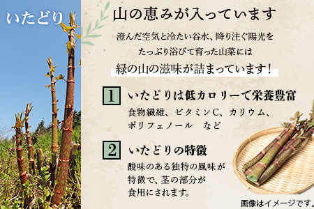 木沢特産 ふるさとの味 イタドリ醤油漬 250g×4袋【徳島県 那賀町 国産 いたどり イタドリ 醤油漬 漬物 漬け物 加工品 山菜 味付き ごはんのおとも ご飯のお供 惣菜 おかず 副菜 小鉢 調味済み おつまみ お酒の肴 時短 お土産 お取り寄せ】MO-7