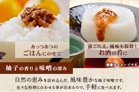 木沢特産 ふるさとの味 木沢ゆず味噌 180g×4個【徳島県 那賀町 国産 加工品 柚子味噌 ゆず味噌 柚子みそ みそ おかず味噌 調味料 ごはんのおとも ご飯のお供 惣菜 おかず 副菜 小鉢 おつまみ お酒の肴 時短 お土産 お取り寄せ】MO-8