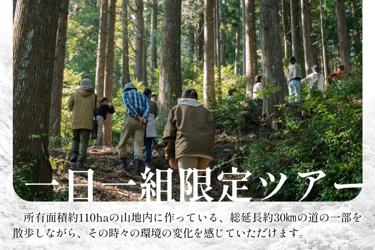【橋本山林】一日一組限定ツアー（1～9月）1名様 【徳島県 那賀町 ツアー イベント 現地体験型 体験 旅行 グループ 限定 仲間 社員研修 環境学習】NM-11