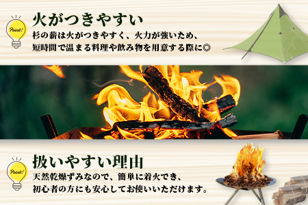 森と川の町 那賀町で育まれた 木頭杉の薪 (6～10kg) 15～20本 規格 35cm NW-16【徳島県 那賀町 国産 木頭杉 杉 針葉樹 天然 乾燥 薪 スギ 焚付け材 キャンプ ソロキャンプ 木材 焚き火 焚火 暖炉 ストーブ 燃料 BBQ バーベキュー アウトドア】