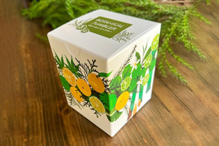 ボタニカルタンブラー【那賀町・杉】 -BOTANICAL Tumbler-　NW-2