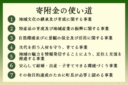 【返礼品なしの寄附】徳島県那賀町 1口：1,000円 ［徳島県 徳島 那賀町 那賀 寄附 おうえん 応援 しえん 支援 応援したい おうえん寄付金 応援寄付金 寄付のみ 返礼品なし 返礼品なしの寄附 1,000円］【NY-1】 1,000円（返礼品無し）