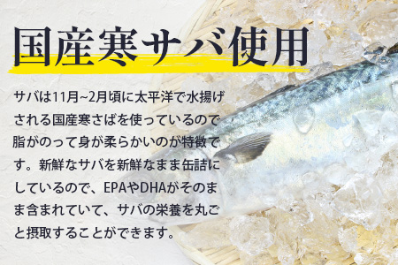【定期便3回】国産寒さば 木頭ゆずみそ煮 5缶セット×3回 計15缶［徳島県 那賀町 国産 缶詰 水産物加工品 木頭ゆず ゆず ユズ 柚子 さば缶 サバ缶 鯖缶 さば サバ 鯖 味噌煮 みそ煮缶 味噌煮缶 さば味噌煮缶 鯖味噌煮缶 長期保存 備蓄 備蓄缶詰 保存食 非常食 災害 防災 支援 応援 おつまみ ］【OM-119】